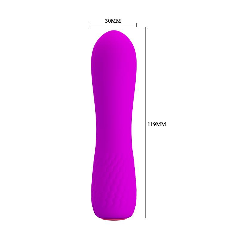 Sstimulator Beau USB Purple