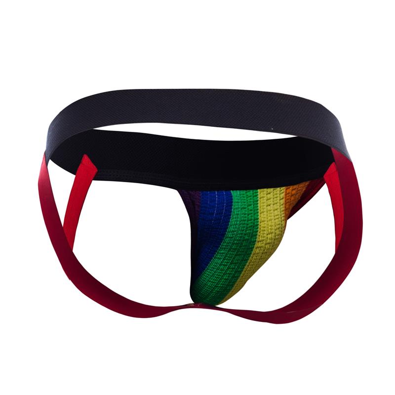 Stripe Pride Jockstrap Pride Flag