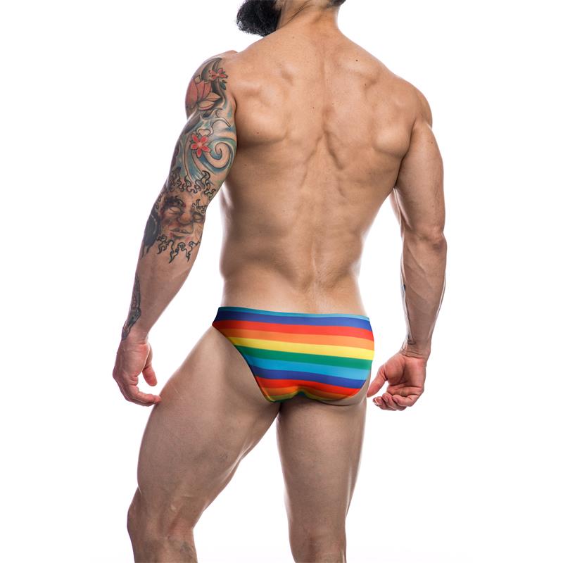 C4M01 Low Rise Bikini Brief Rainbow