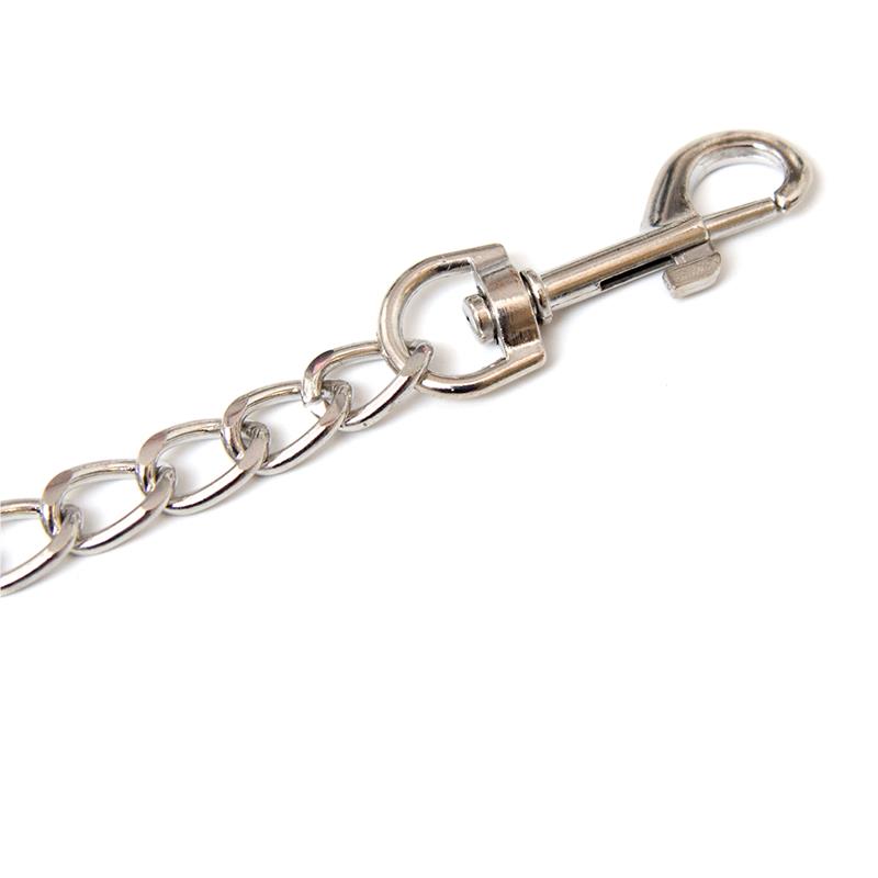 Metal Chain Leash